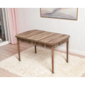 KEMENÇE 80 X 132 AÇILABİLİR MUTFAK MASASI